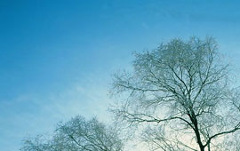 可以留电话的骚扰网站